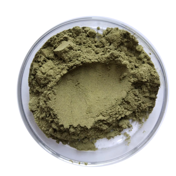 Lemon Balm Leaf Powder Manufacturer - Natural Bee Balm Powder