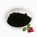 Blueberry Extract Powder Manufacturer - 25% Anthocyanins, Pure Fruit Powder for Blueberry Bilberry Elderberry