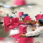 Humulus Lupulus Hops Flowers Manufacturer - Natural Raw Dried Pi Jiu Hua