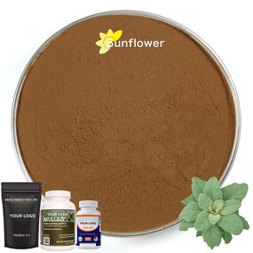 Mullein Leaf Extract Manufacturer - Organic 10:1 Powder, Verbascum Phlomoides