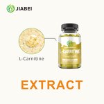 L-Carnitine Gummies Manufacturer - Adult Energy & Focus Brain Support Supplement