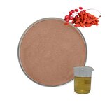 Goji Berry Extract Powder Manufacturer - Food Grade Wolfberry Herbal Extract in 1kg Drum