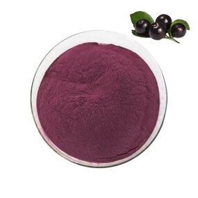 Acai Berry Powder Manufacturer - Food Grade, 1kg Minimum Order, Drum Packaging