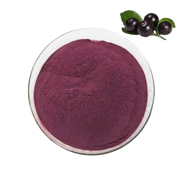 Acai Berry Powder Manufacturer - Food Grade, 1kg Minimum Order, Drum Packaging