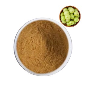 Phyllanthus Emblica Extract Manufacturer - 10:1 20:1 Amla Powder Food Grade in Drum