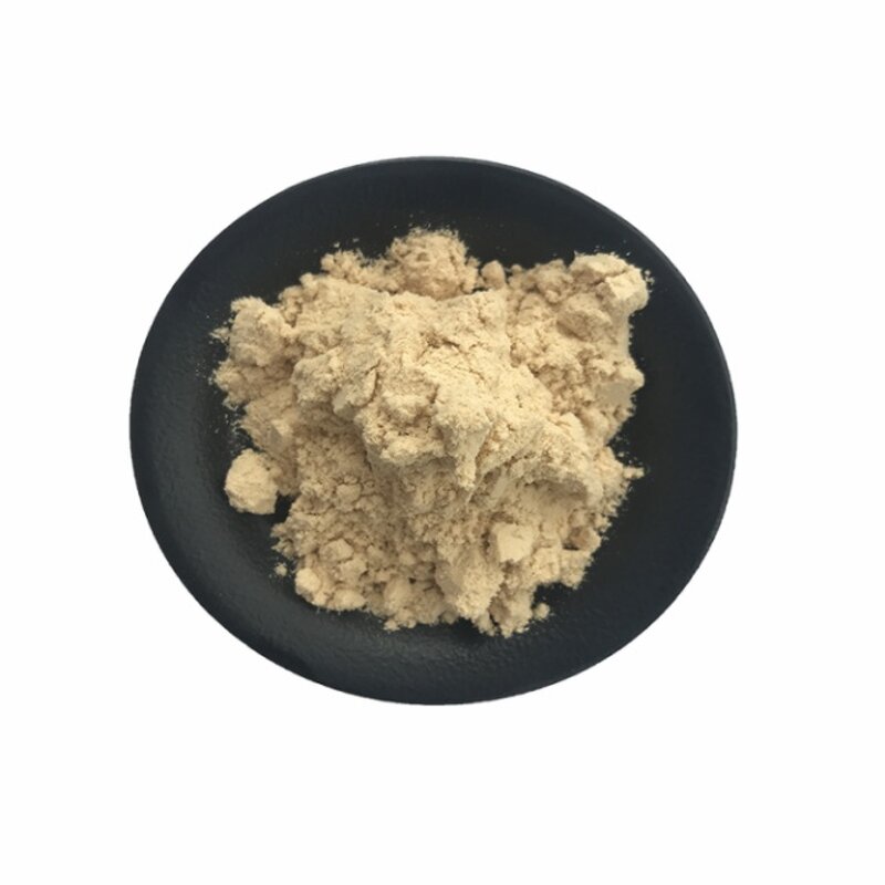 Brown Rice Protein Powder Manufacturer - Pure Natural Extract