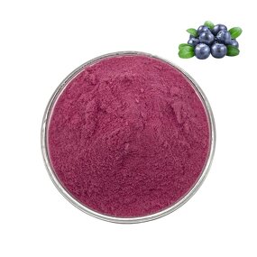 Blueberry Juice Powder Manufacturer - 100% Water Soluble Wild Blueberry Extract for Beverage