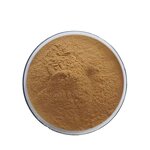 Ginkgo Biloba Extract Powder Manufacturer - 10:1 20:1 Ratio, ISO HACCP Certified