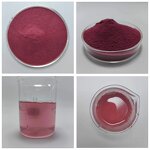 Aronia Berry Powder Manufacturer - Pure Natural Water Soluble Wild Cherry Berry Extract