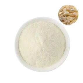 Boswellia Serrata Extract Manufacturer - 65% Boswellic Acid Powder, Wholesale Price