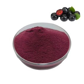 Aronia Berry Powder Manufacturer - Pure Natural Water Soluble Wild Cherry Berry Extract