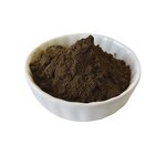 Turkesterone Ajuga Turkestanica Extract Manufacturer - 2% Turkesterone Powder