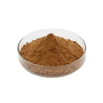 Cassia Seed Extract Powder Manufacturer - 10:1 Ratio Wholesale Price