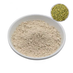 Genistein Extract Powder Manufacturer - CAS 446-72-0, 98% Purity