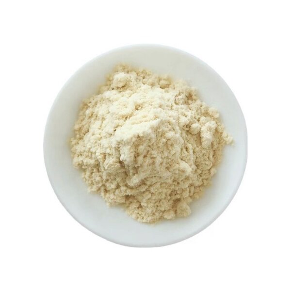 Whey Protein Concentrate Powder Manufacturer - 80% WPC for Bodybuilding Supply