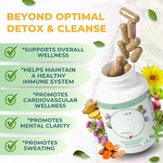 Liver Support Capsules Manufacturer - OEM Formula with Milk Thistle for Detox & Repair