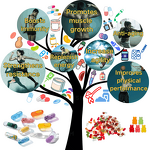 Cinnamon Chromium Biotin Tablets Manufacturer - Triple Action for Blood Sugar & Antioxidant Support