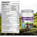 Wild Berry Superfood Powder Manufacturer - Antioxidant Polyphenol Blend for Energy & Vitality Boost