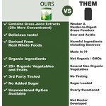 Organic Greens Superfood Powder Manufacturer - 25+ Organic Vegetable Blend for Energy & Athletic Performance