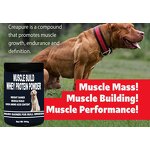 Whey Protein Powder for Dogs Manufacturer - Muscle Builder Formula for Growth & Recovery