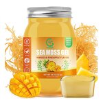 Irish Sea Moss Gel Manufacturer - OEM Organic Raw Vegan with Mango Pineapple Flavor, 102 Vitamins & Minerals