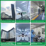 Collagen Peptide Powder Manufacturer - OEM Nutritional Supplement for Physical Health