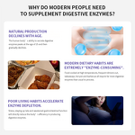 Natural Enzyme Capsules Manufacturer - OEM Vegan Prebiotic for Gut Cleanse & Digestive Support