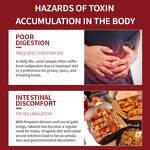 Apple Cider Vinegar Capsules Manufacturer - Sugar-Free Vegan Herbal Supplements for Weight Management