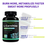 L-Carnitine Manufacturer - HACCP Certified Food Grade Fat Burner Tablets 60 Count