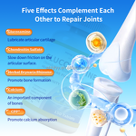 Chondroitin Calcium Tablets Manufacturer - Aminosugar Formula for Bone Density in Middle-Aged & Elderly