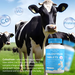 Colostrum Tablets Manufacturer - High Calcium Supplement for Bone & Teeth Health in Milky Flavor
