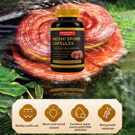 Ganoderma Lucidum Spore Powder Capsules Manufacturer - Pure Natural Vegetarian Herbal Supplement
