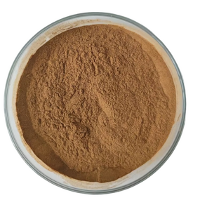 Oyster Mushroom Extract Powder Manufacturer - 30% to 50% Polysaccharides & Beta Glucan