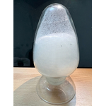 Freeze-Dried Probiotics Powder Manufacturer - Lactobacillus Casei with Immunomodulatory Function