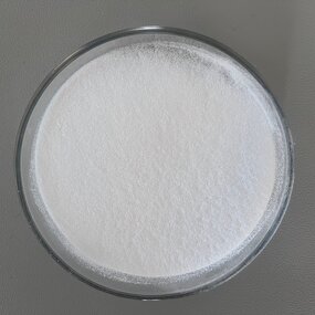 Pediococcus Acidilactici Probiotics Manufacturer - 100B CFU/g Food Grade Powder for Animal Feed & Healthcare
