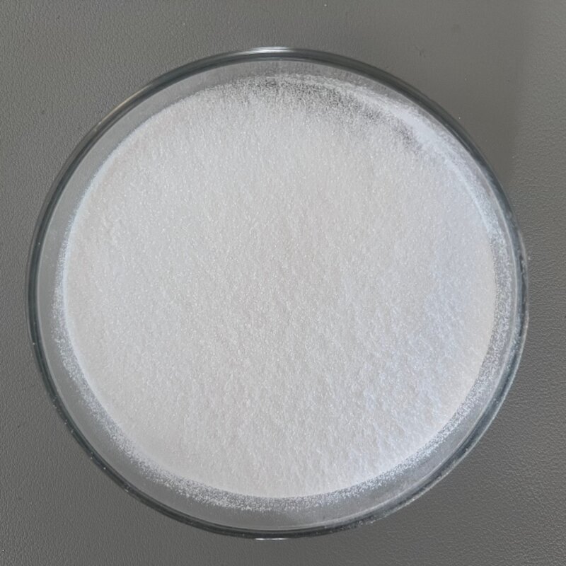 Pediococcus Acidilactici Probiotics Manufacturer - 100B CFU/g Food Grade Powder for Animal Feed & Healthcare