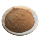 Cordyceps Militaris Extract Powder Manufacturer - Organic, High Quality