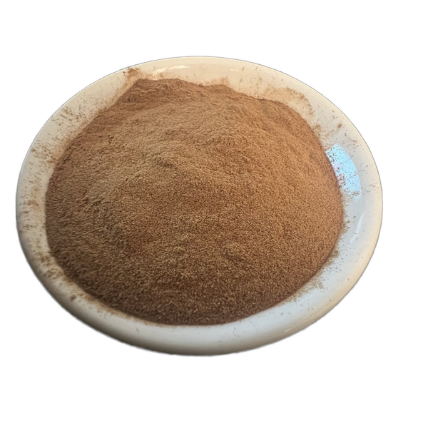Cordyceps Militaris Extract Powder Manufacturer - Organic, High Quality