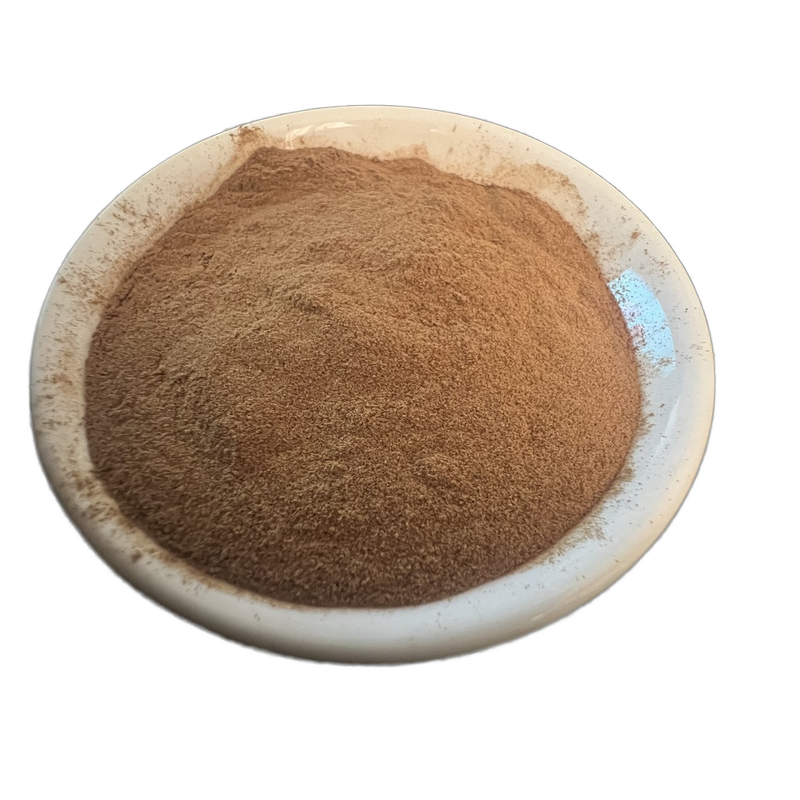 Cordyceps Militaris Extract Powder Manufacturer - Organic, High Quality