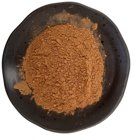 Maitake Mushroom Extract Manufacturer - Grifola Frondosa Powder with 10%-40% Polysaccharides
