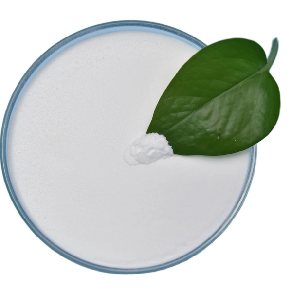 Bifidobacterium Animalis Lactis Probiotic Powder - Freeze-Dried Food Additive