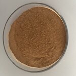 Cordyceps Militaris Extract Powder Manufacturer - Organic, High Quality