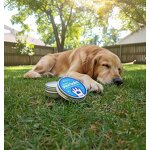 Pet Balm Manufacturer - Private Label Dog Paw & Nose Balm with Coconut Oil