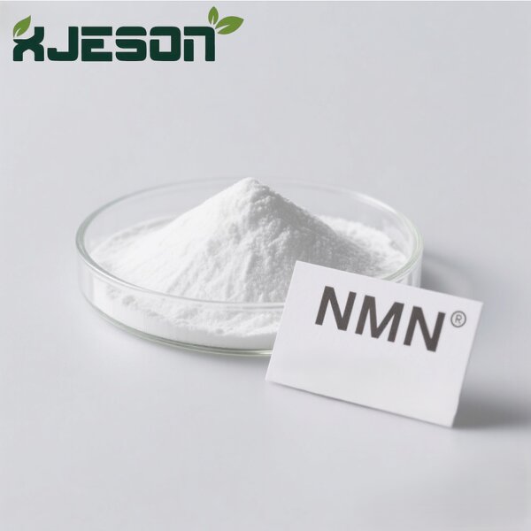 NMN Powder Manufacturer - Beta-NMN 99.9% Food Grade, Free Sample Available