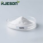 NMN Powder Manufacturer - 99% Pure Nicotinamide Mononucleotide Anti-Aging Supplement