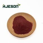 Blueberry Powder Manufacturer - Freeze-Dried Food Grade Extract in Drum Packaging