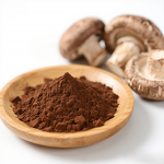 AHCC Shiitake Mushroom Extract Manufacturer - Organic, Food Grade for Private Label