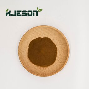 Goji Berry Extract Powder Manufacturer - Natural Wolfberry Extract