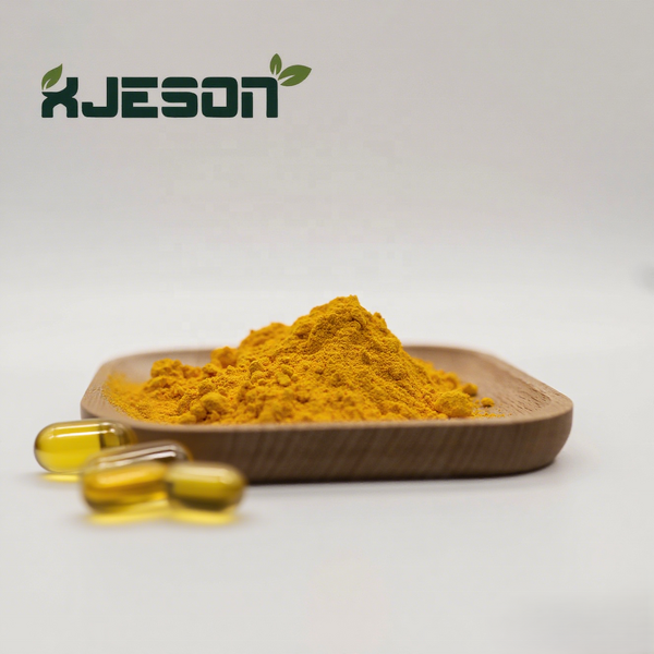 Coenzyme Q10 Powder Manufacturer - Food Grade, Water Soluble, 10% Bulk CAS 992-78-9