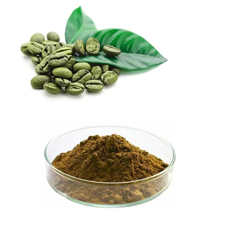 Green Coffee Bean Extract Powder Manufacturer - 60% Chlorogenic Acid for Weight Loss